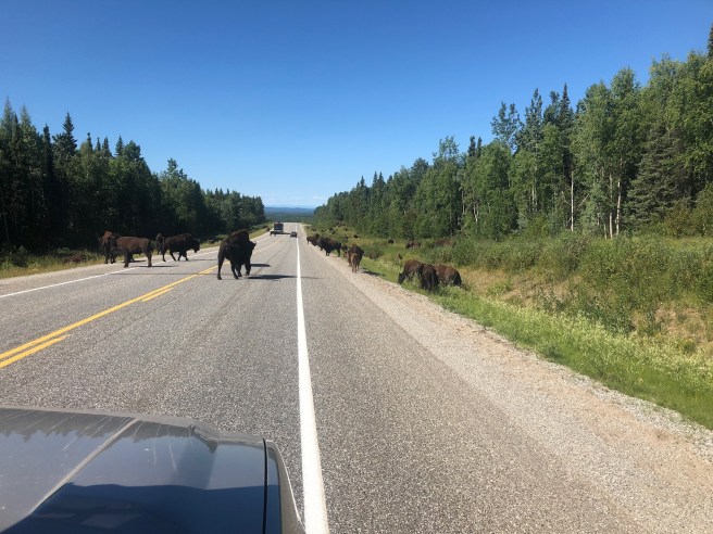 2741ACBE-95D5-481A-8E9C-4F0FCBDCA6A3