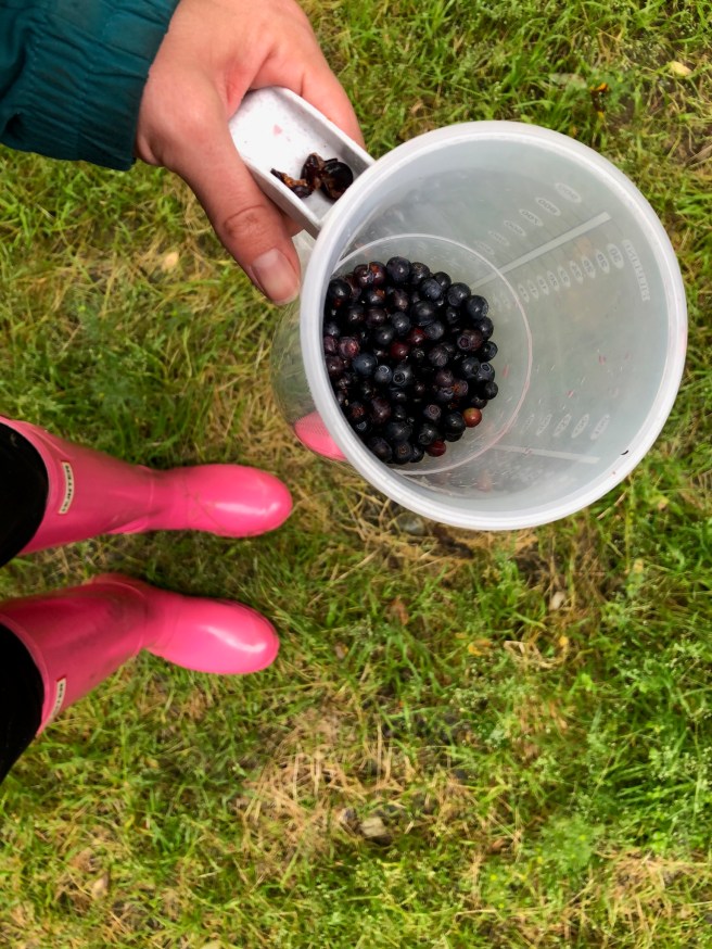 2A990A33-6246-4F33-94BB-507B32F37426