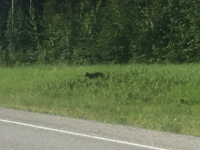 2DF101C3-7571-48A4-9D4C-702FBC1740DF