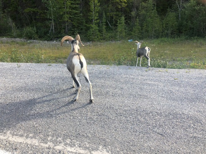 30AC3B71-A7B2-496B-AC54-20FE32DDF219