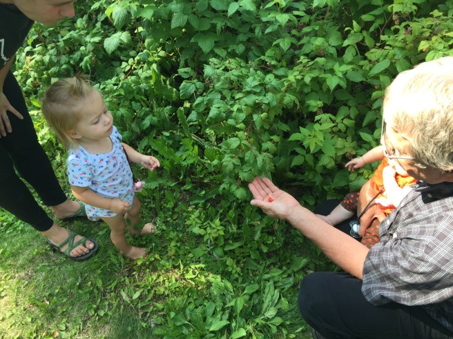 99D355DC-400E-49F7-813D-F73BD2CE197F