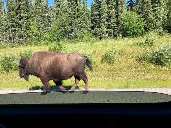 D6372D7E-8414-417F-9CFA-D124F2A105FA